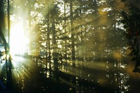 Nasjonalpark
