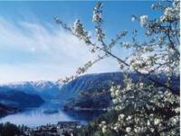 Hardanger