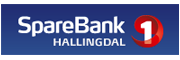 SpareBank 1 Hallingdal