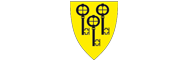 Gol kommune